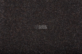 Грязезащитные покрытия Vebe Andes Andes Pd 80 фото 1 | FLOORDEALER